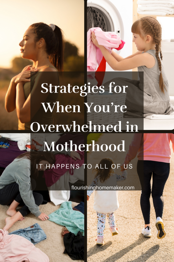 pin for "strategies for when you're overwhelmed in motherhood".