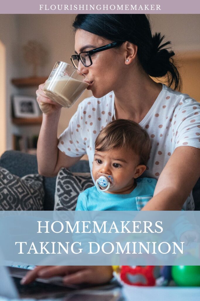 pin for "homemakers taking dominion".