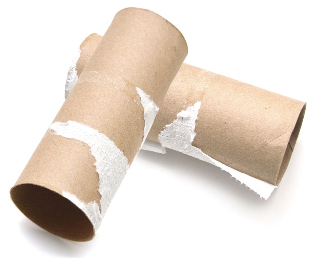 empty toilet paper rolls.